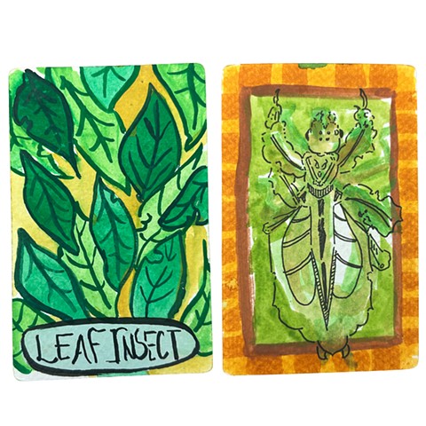 Leaf Insect