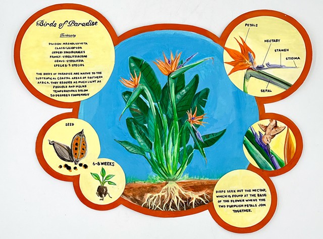Scientific Botanical Poster Illustrations