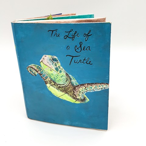 The Life of a Sea Turtle
