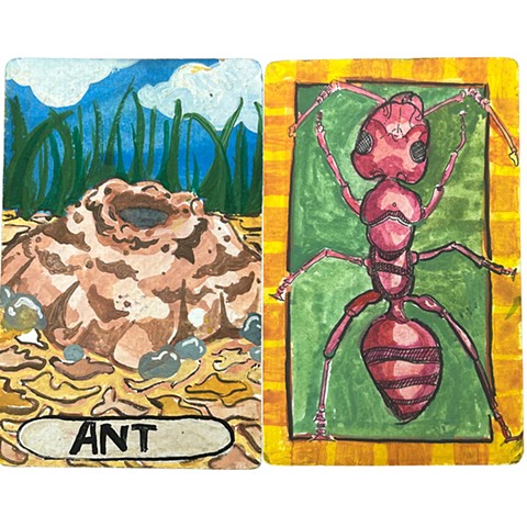 Ant