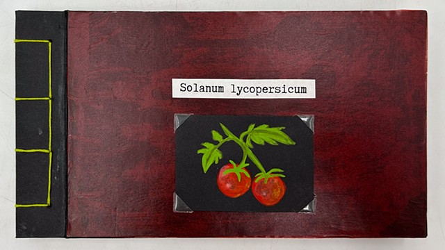 Sandra Markarian "Solanum lycopersicum" Artist Book