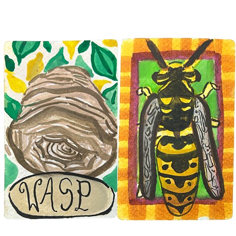 Wasp