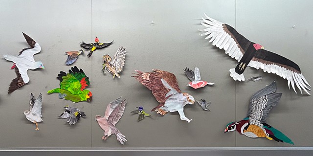Los Angeles: The Birdiest County in America (2D Design Group Installation)