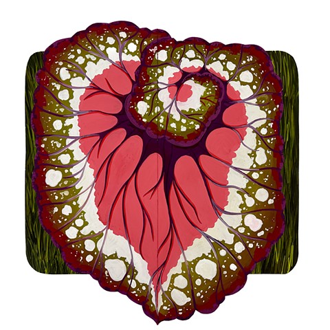 Amber Kauffman, Fall 2024 (interior popup)