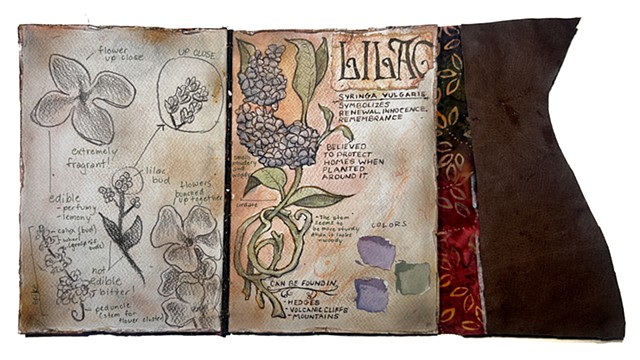 "Floral Field Guide" by Nicole Ancheta, 2026