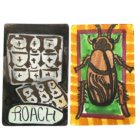 Roach