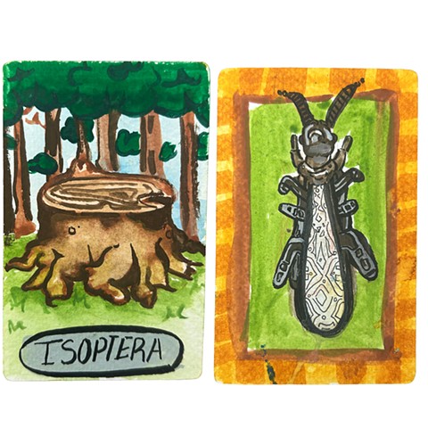 Isoptera