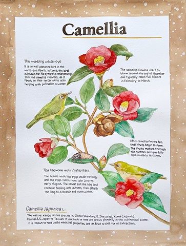 Jin A Ryou, Spring 2025