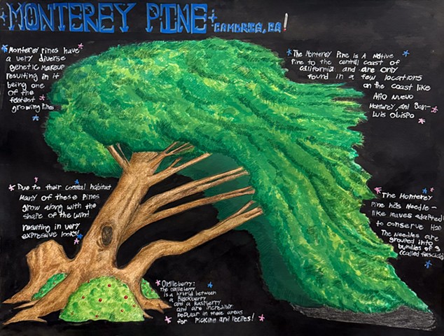 Allen Parry Wilson, Fall 2025