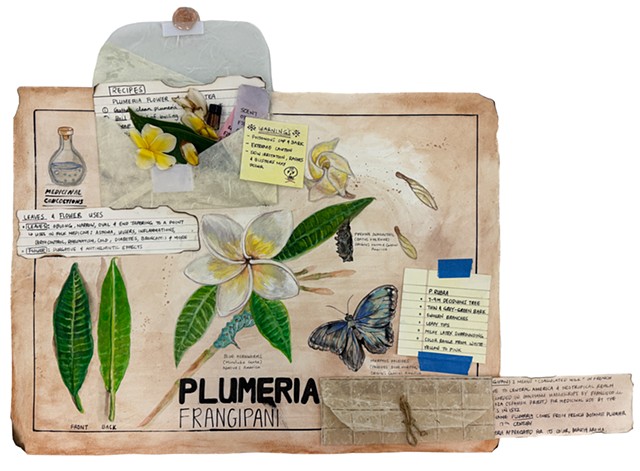 Julia Baek, Fall 2025