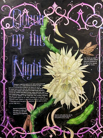 Presley Henderson, Fall 2025