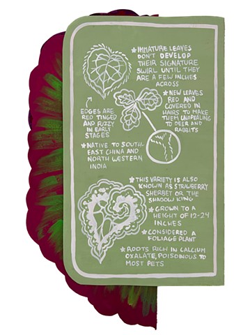 Amber Kauffman, Fall 2024 (back cover)