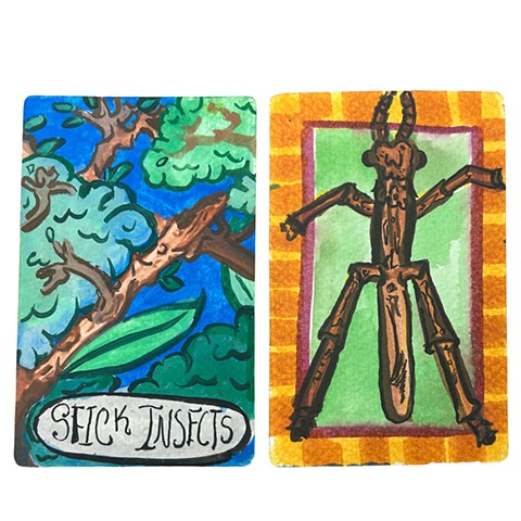 Stick Insects