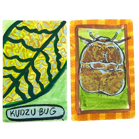 Kudzu Bug