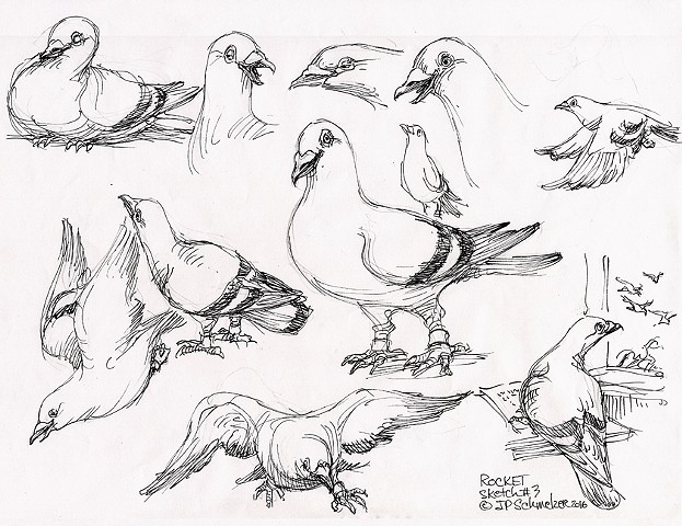 Rocket Pigeon preliminary drawing #3