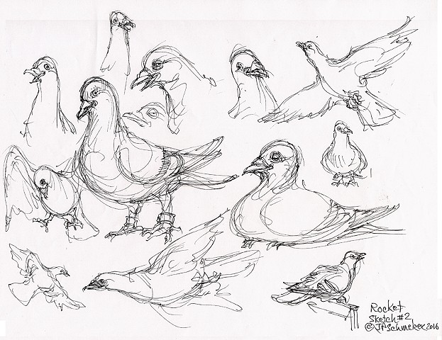 Rocket Pigeon preliminary drawing #2