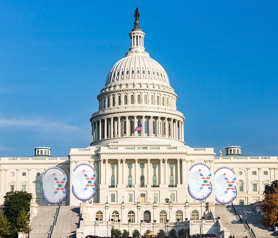 Democracy Healing Pattern on U.S. Congress (as hanging banners)