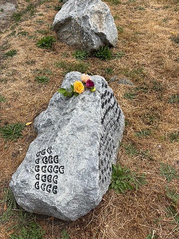 Gaza Tz'ror-July 2025