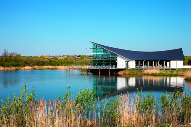 Artist in residence at Stanwick Lakes