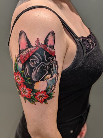 Sophie the Frenchie