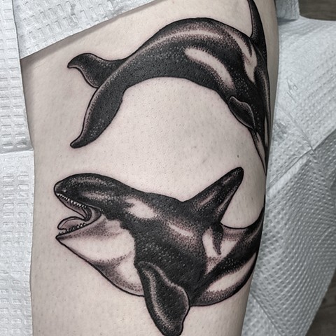 Orcas