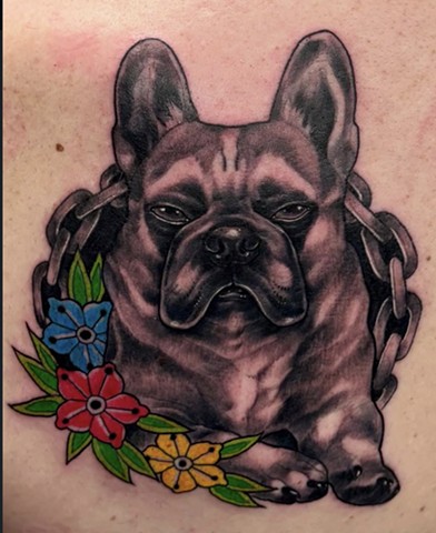 Ozzy the Frenchie