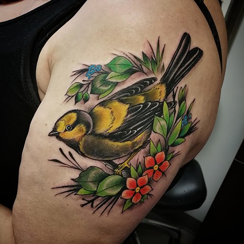 Finch perched on Flowery Branch