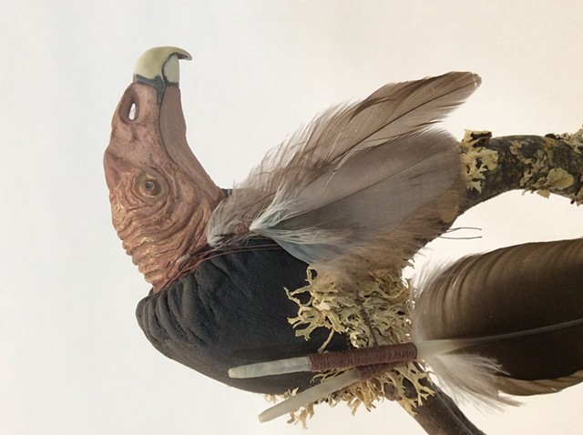 Turkey Vulture 
detail, right side