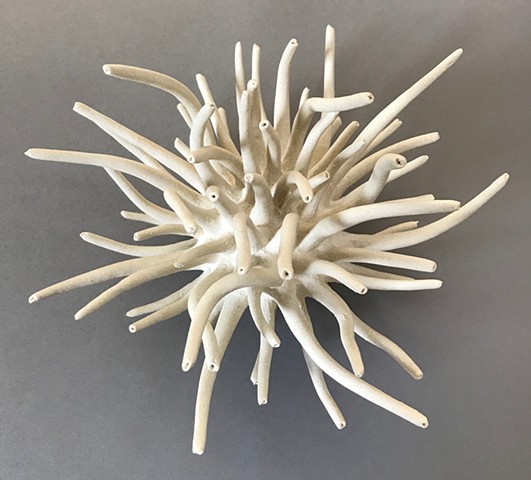 White Anemone 1