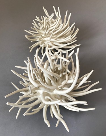 White Anemones Spinning 