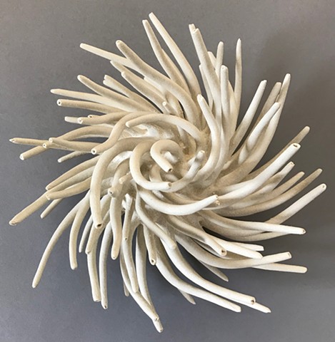 White Anemone  Spinning Left