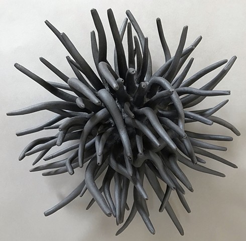 Black Anemone 1