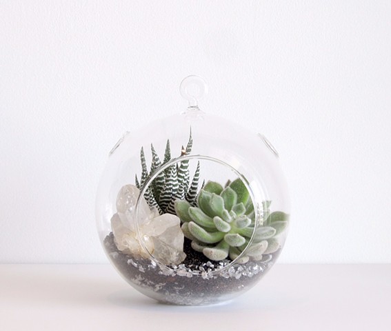By The Archive Gallery 
Small Sphere Terrarium 