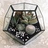 Black Sand Geometric Terrarium- Currently Out of Stock 