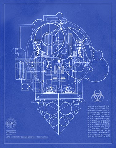 T5