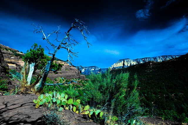 Sedona In Blue