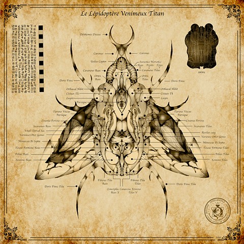 La Grande Phalène Venimeuse