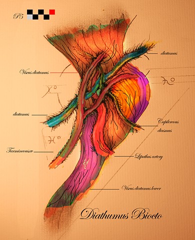 Diamthumus Biocto