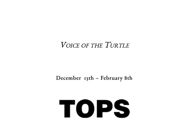 Voices of the Turtle @ TOPS