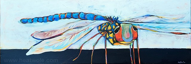 Dragonfly