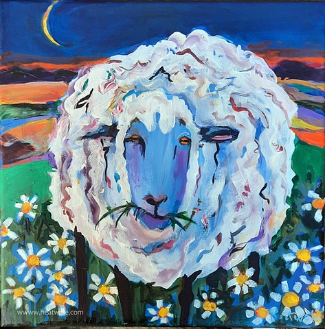 sheep and daisies