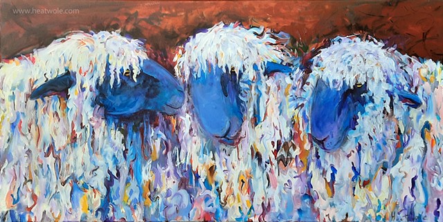 three sheep 