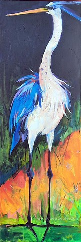 heron standing
