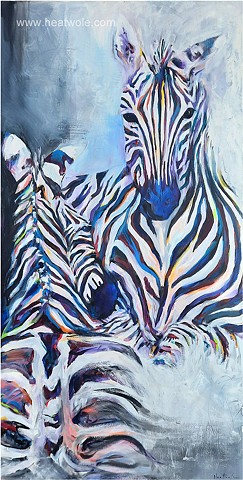 Zebras