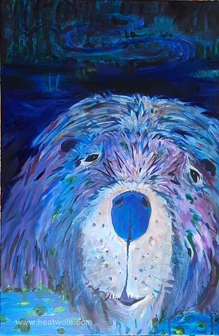 blue night beaver