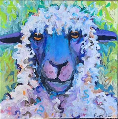 sheep face