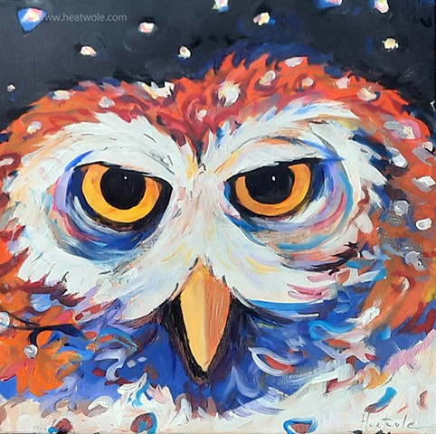 owl and satellites 