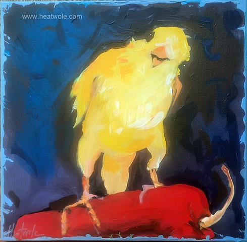 canary