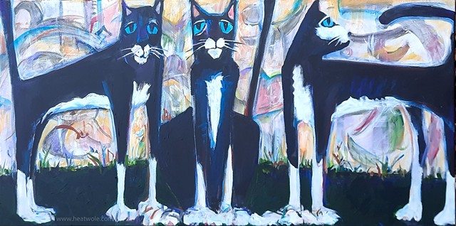 cats with sacred graffiti