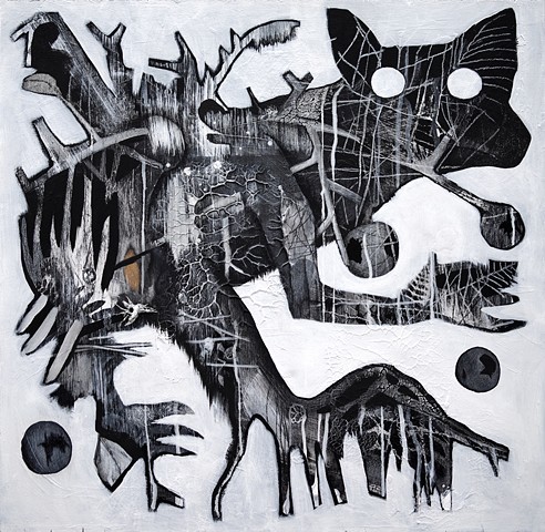 searching for new eyes | the gall collector